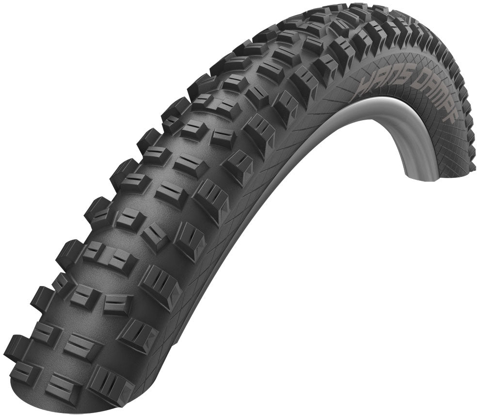 Schwalbe Hans Dampf Performance 26