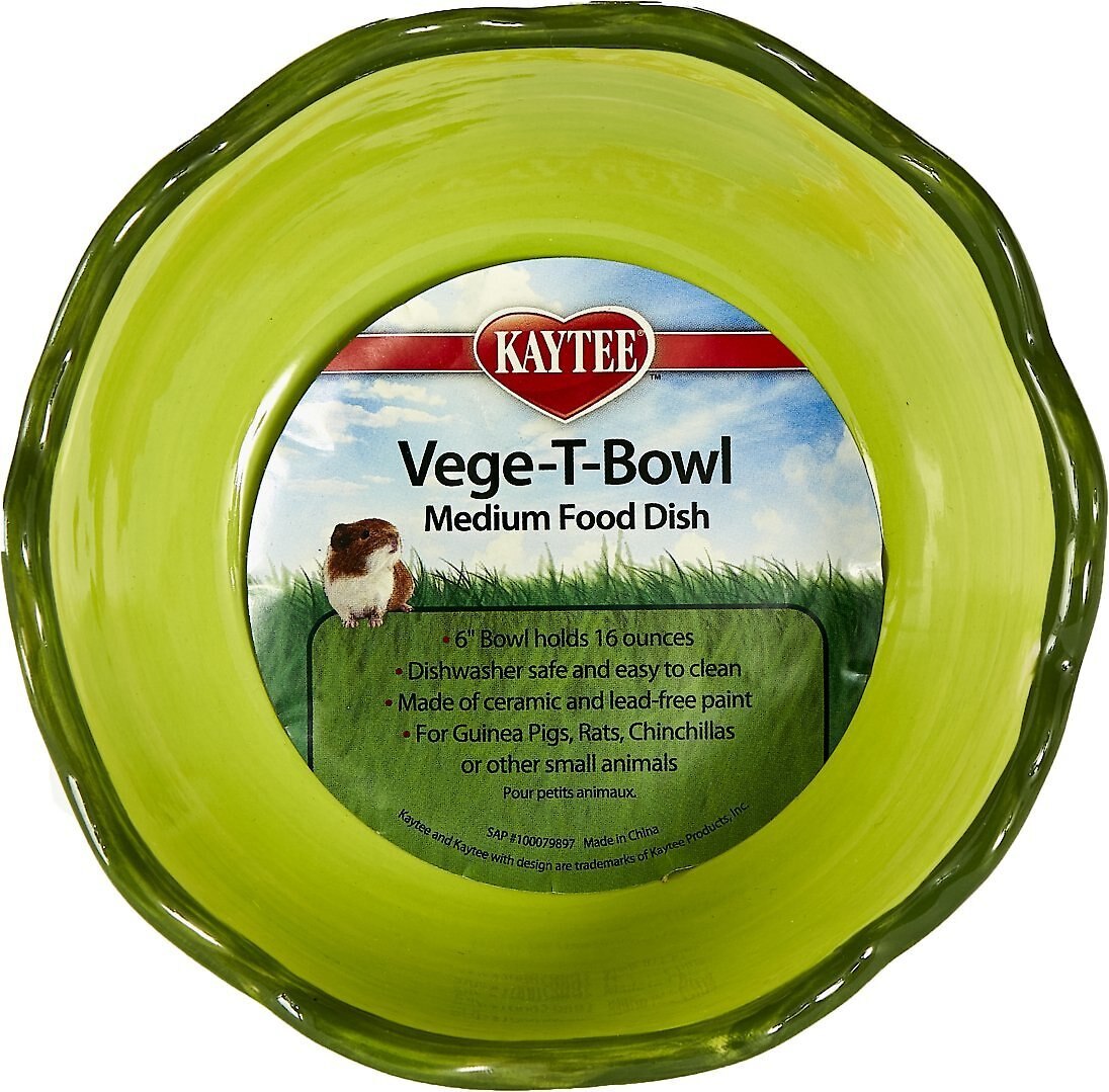 Kaytee Vege-T-Bowl Cabbage Small Pet Bowl， 16-oz