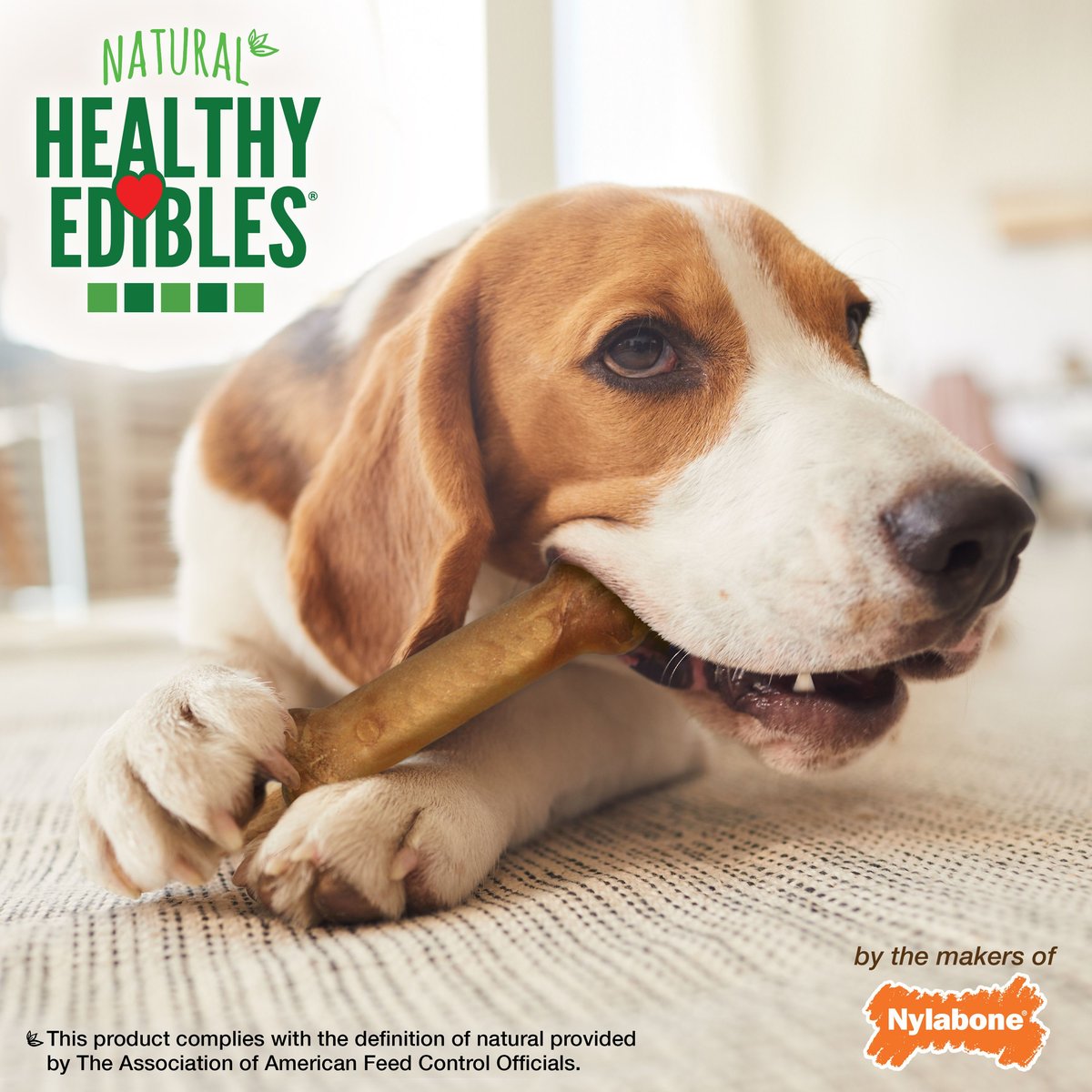 Nylabone Healthy Edibles Natural Long Lasting Bacon Flavored Dog Chews， Medium