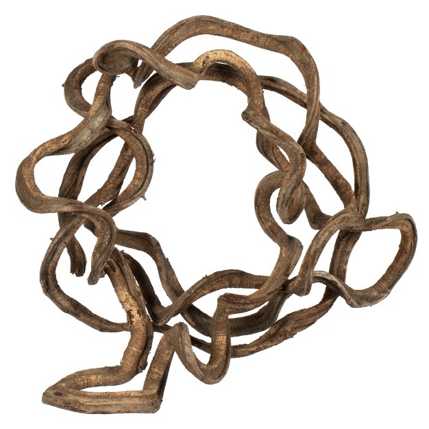 Coiled Vine Dried