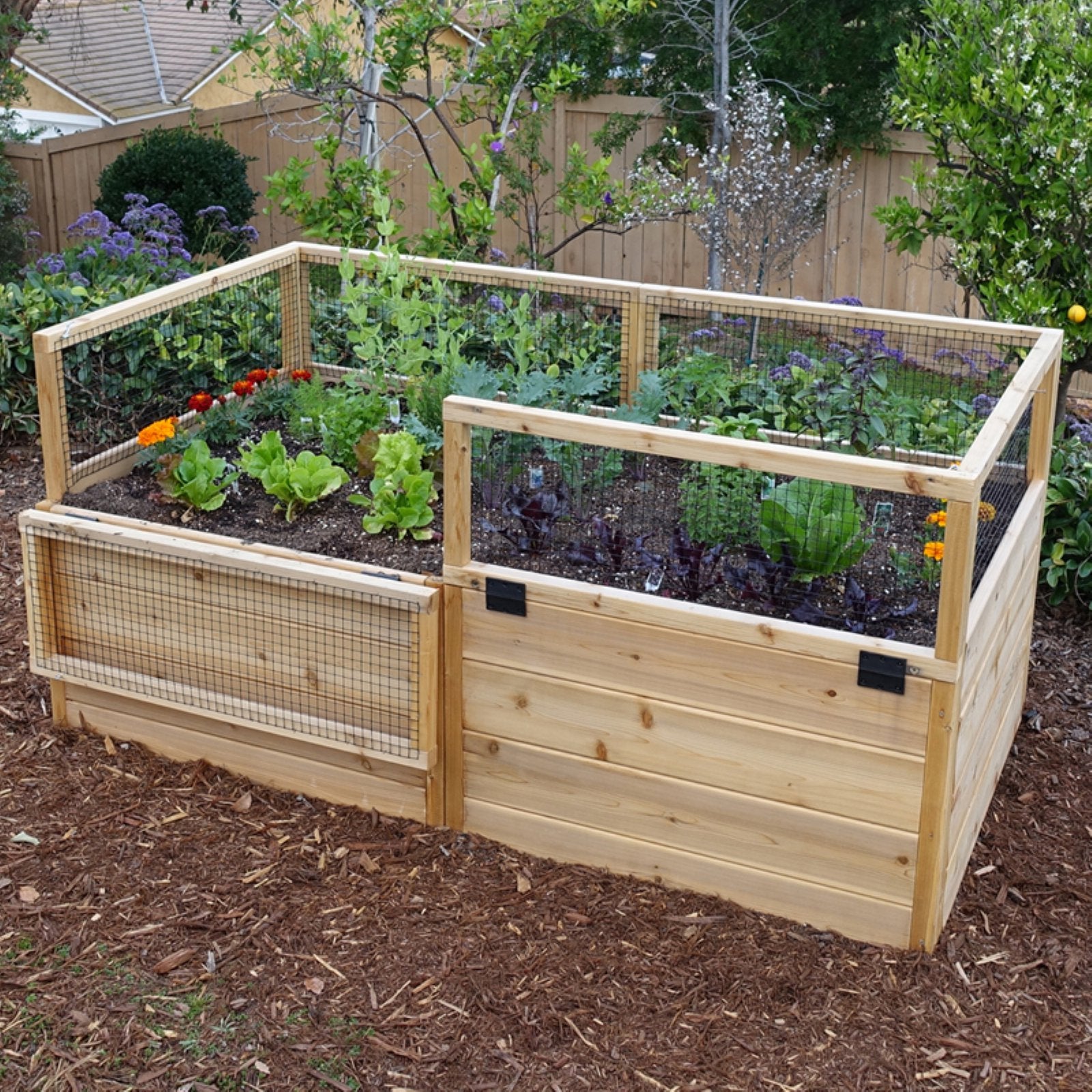 Outdoor Living Today Raised Cedar Garden Bed - 6 x 3 ft.