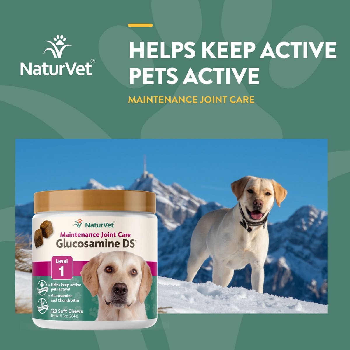 NaturVet Maintenance Care Glucosamine DS Soft Chews Joint Supplement for Dogs and Cats