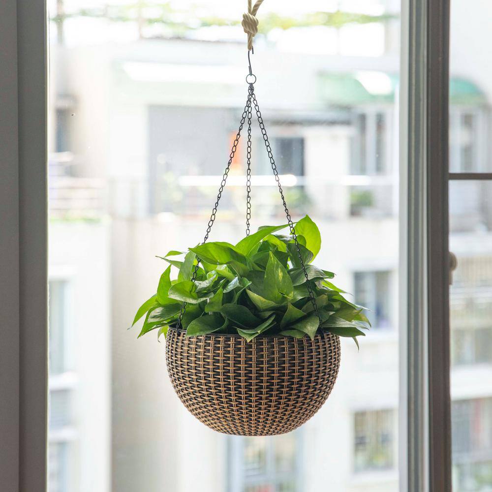 Gardenised 10 in. Self Watering Bronze Plastic Hanging Basket Flower Planter QI003891