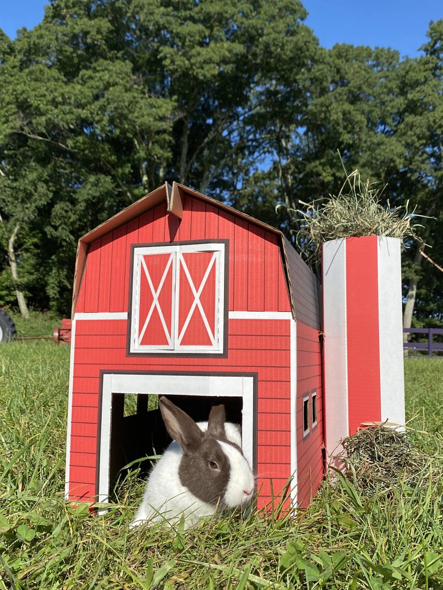 Sweet Meadow Farm Buddy Barn Small Pet Hideout