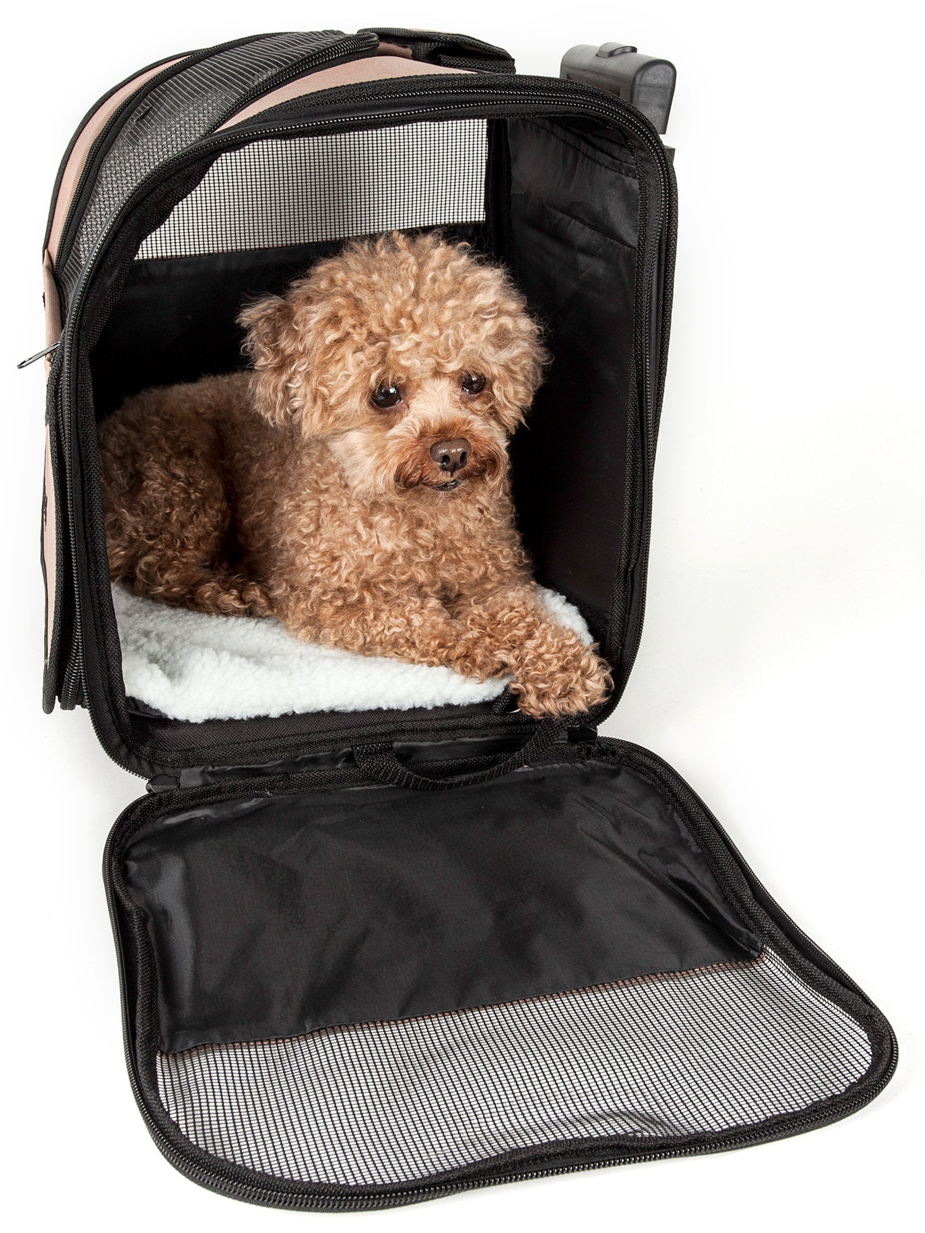 Pet Life ® 'Pawdon Me ' Wheeled Airline Approved Travel Collapsible Pet Dog Carrier