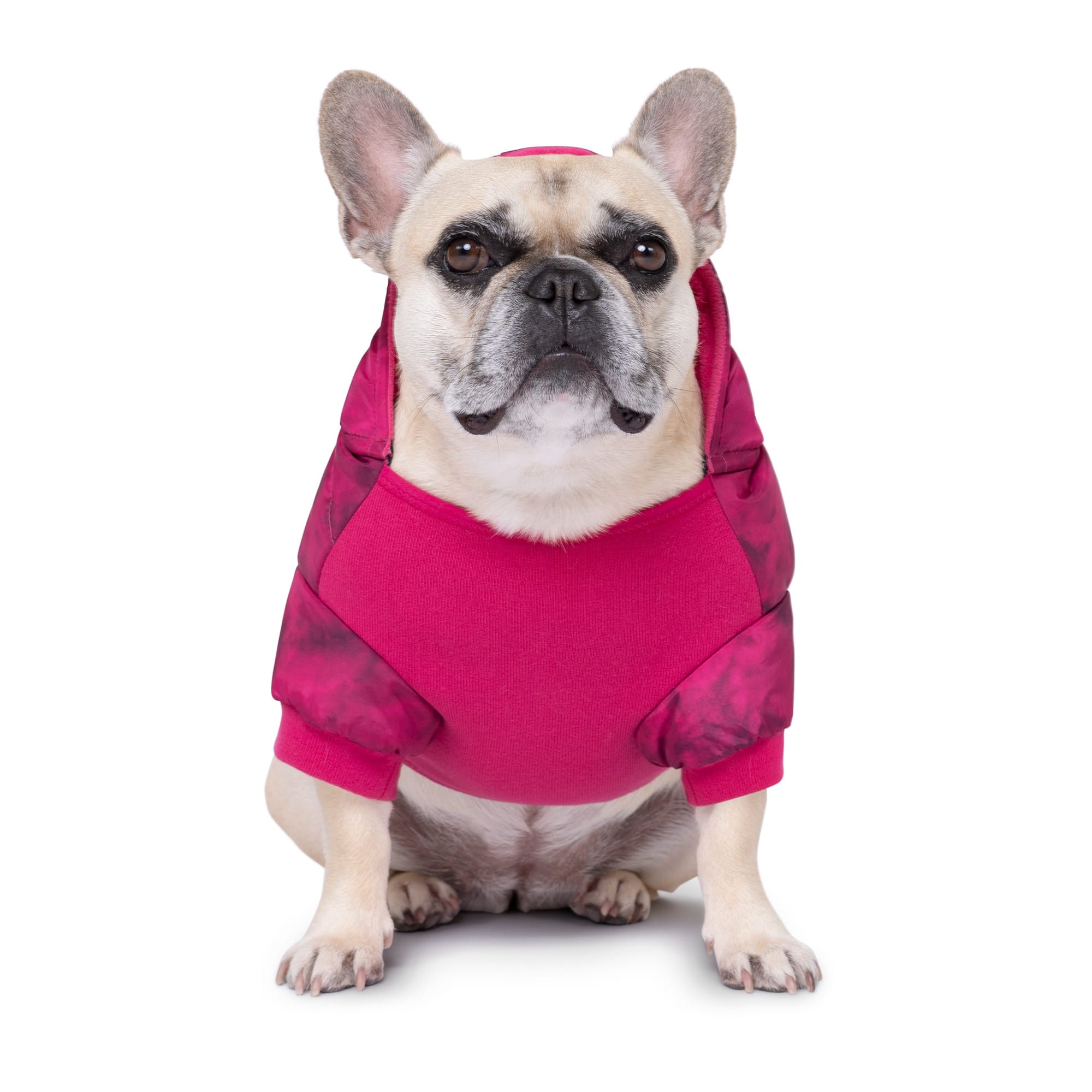 CANADA POOCH Prism Dog Puffer Magenta Size 28， 3X-Large