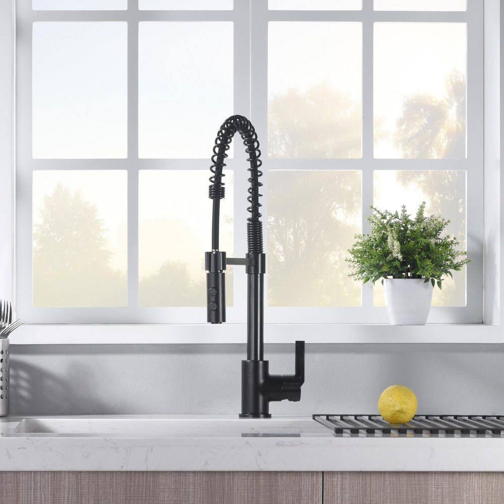 Ultra Faucets Euro Spring Single-Handle Pull-Down Sprayer Kitchen Faucet wAccessories Rust and Spot Resist in Oil Rubbed Bronze UF17405