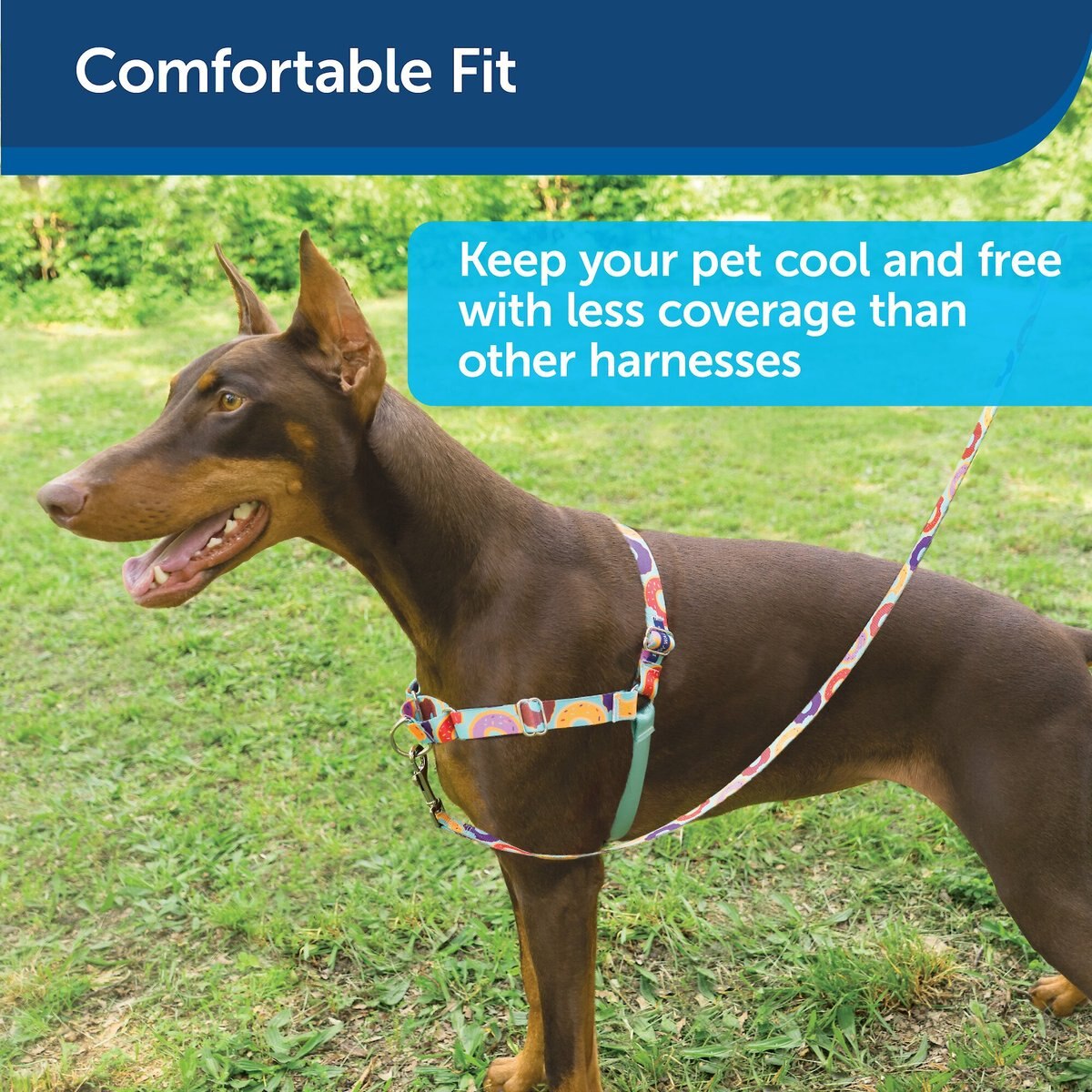 PetSafe Chic Easy Walk No Pull Dog Harness