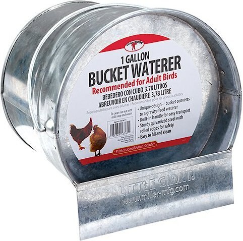 Little Giant Galvanized Bucket Poultry Waterer