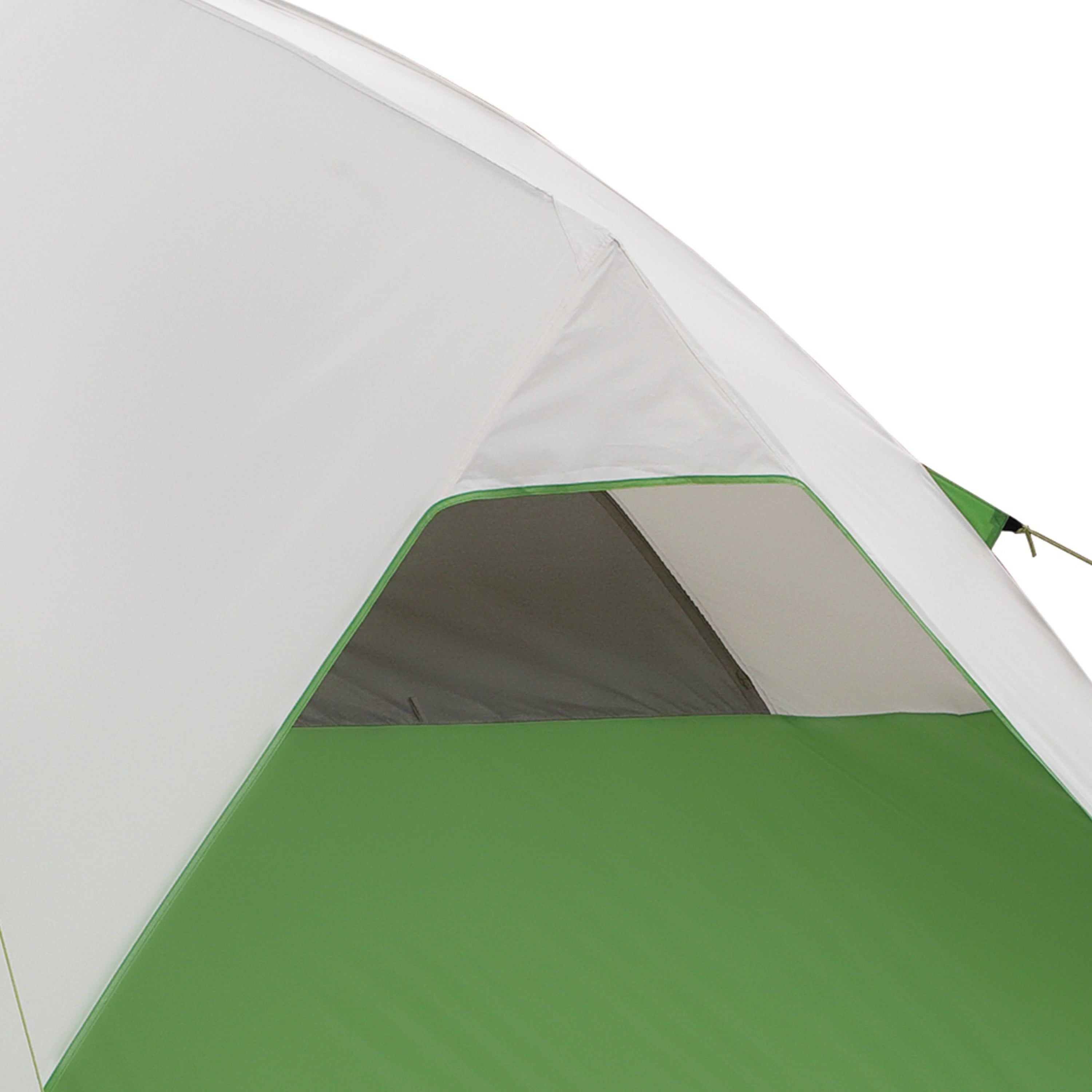 Coleman Evanston 6-Person Dome Tent with Screen Room， 2 Rooms， Green