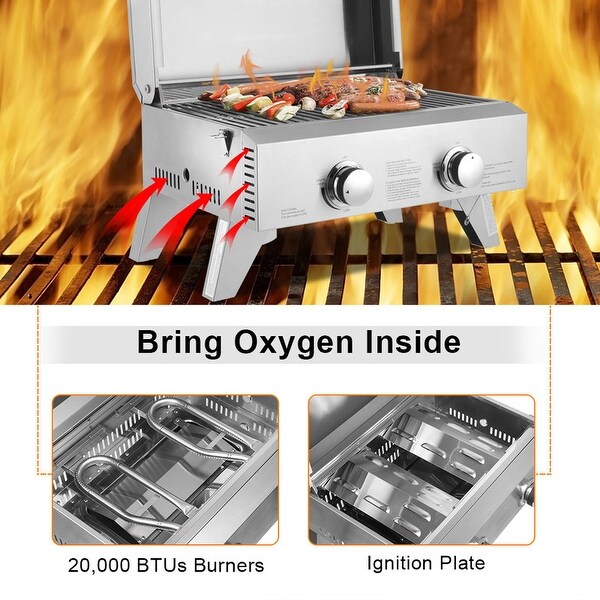 2 - Burner Stainless Steel Portable Liquid Propane 20000 BTU Gas Grill