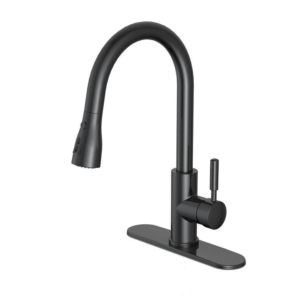 PRIVATE BRAND UNBRANDED Garrick Single-Handle Pull-Down Sprayer Kitchen Faucet in Matte Black D004O