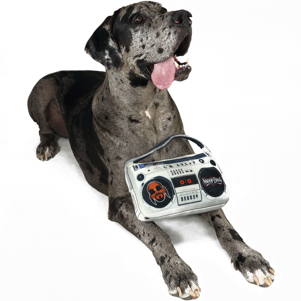 Snoop Doggie Doggs Boom Box Dog Toy