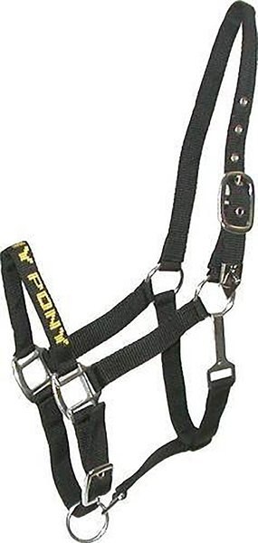 Gatsby I Love My Pony Nylon Horse Halter