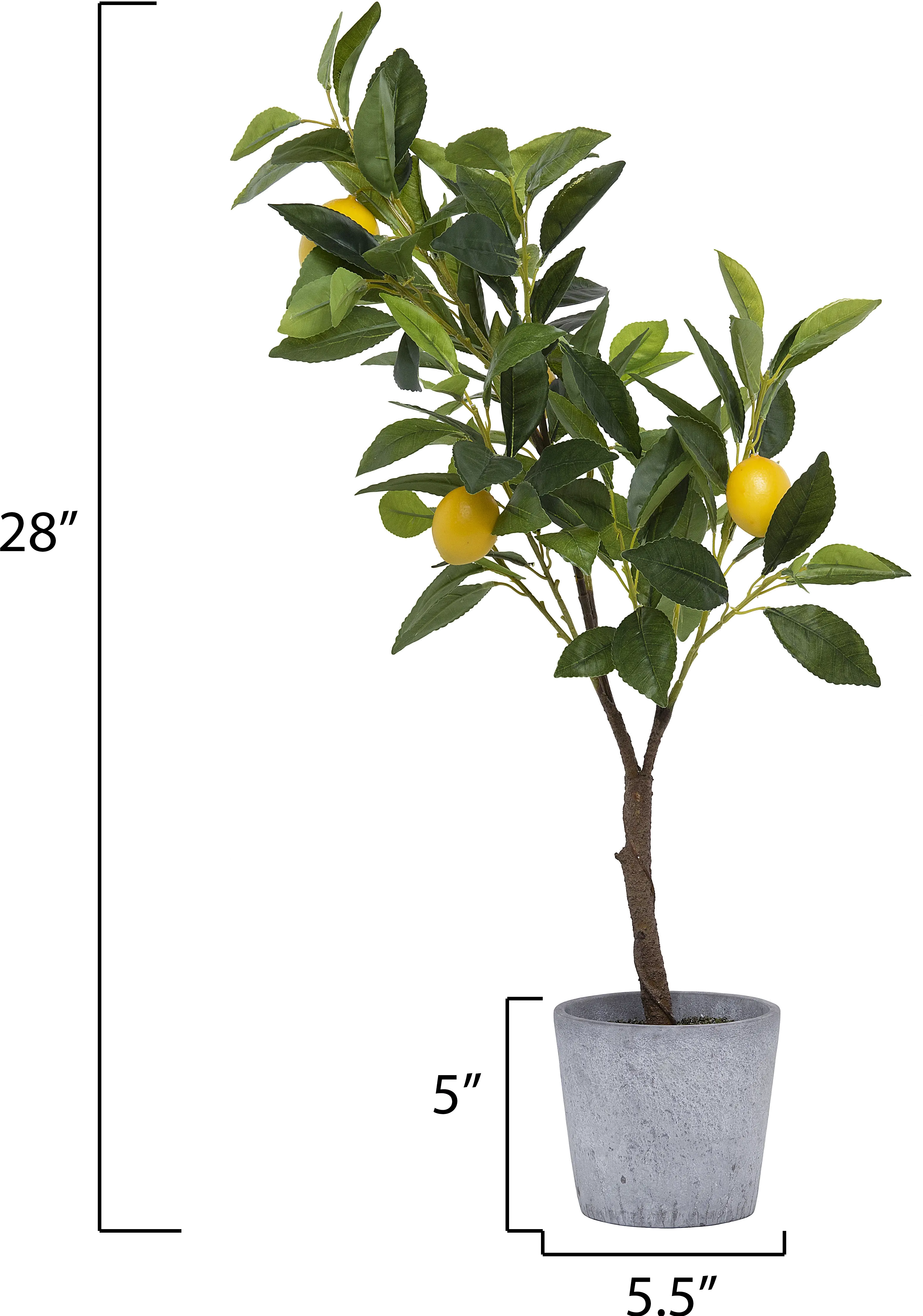 Faux Green Tree with Lemons Arrangement in Cement Pot