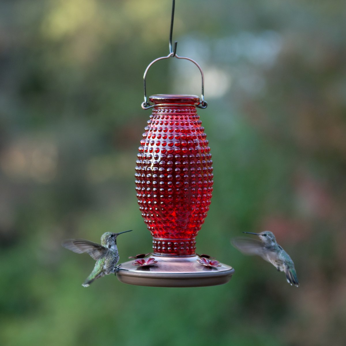 Perky-Pet Red Hobnail Vintage Hummingbird Feeder