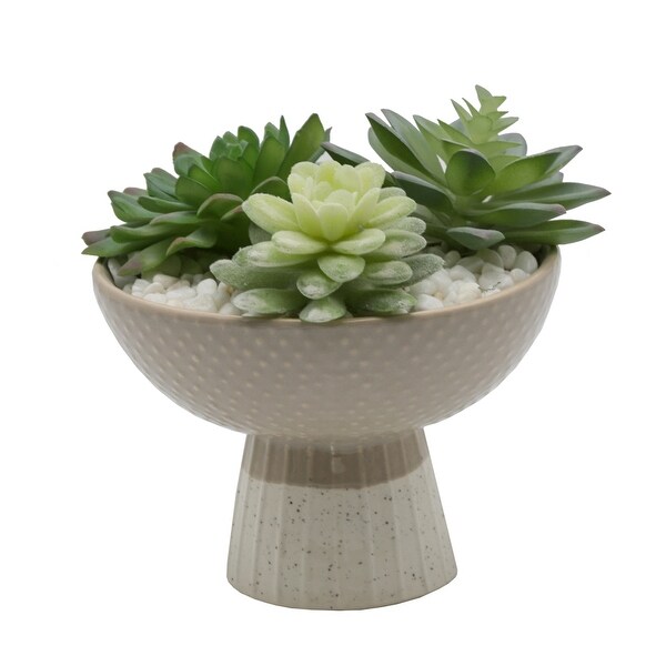 Artificial Plant Succulent Mix in Two Tone Bowl Ceramic Planter