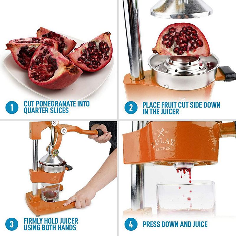 Professional Heavy Duty Citrus Juicer