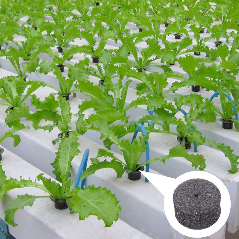 ASCZOV 60pcs/pack Plants Growth Vegetables Hydroponic System Balcony EVA Cloning Collar