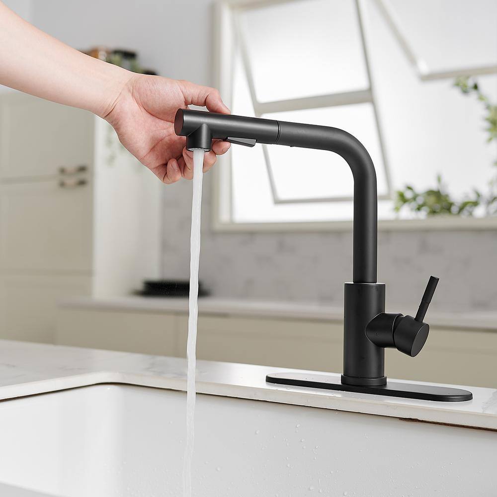 BWE 2 Sprayer Single Hole Single-Handle Pull Out Kitchen Faucet in Matte Black A-94020-Black