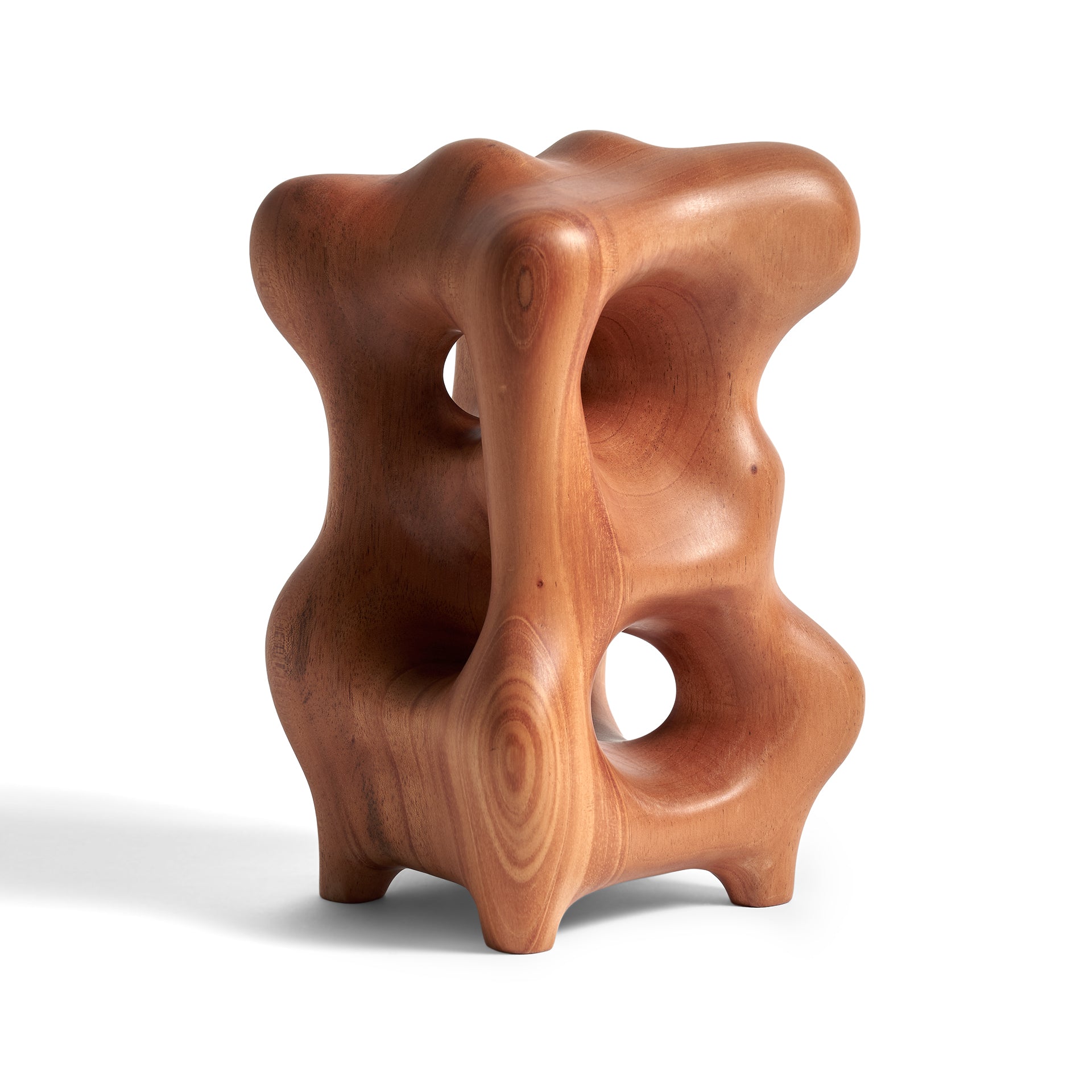 Mahogany Natural Organic Sculpture