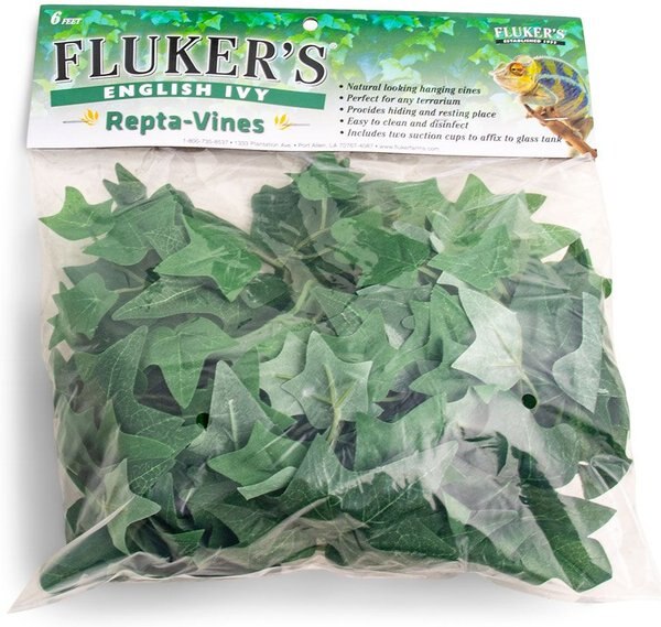 Fluker's English Ivy Repta-Vines