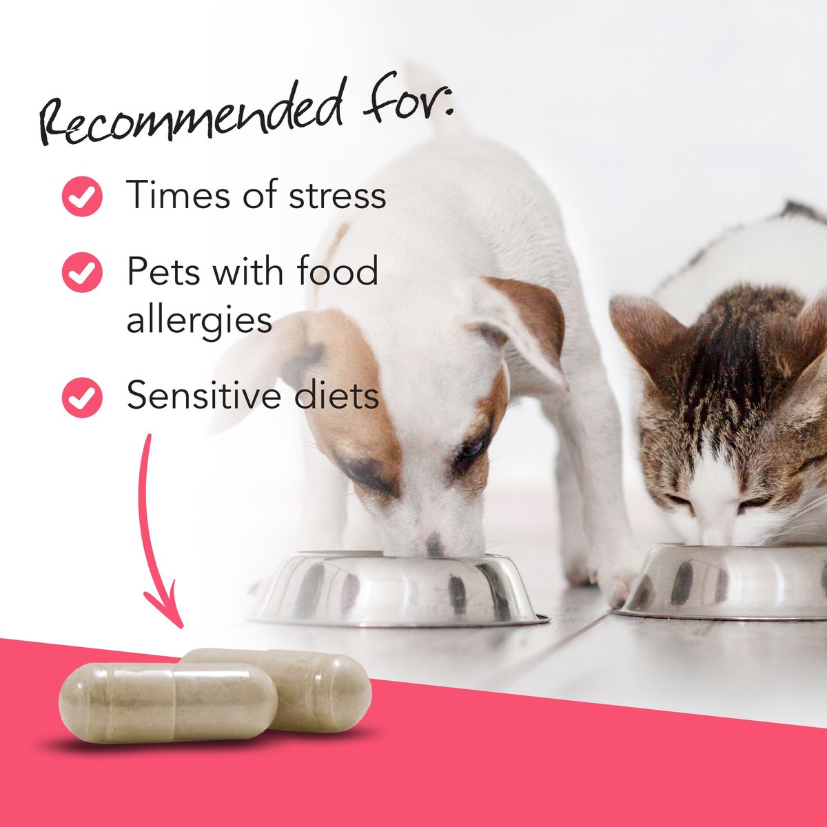 VetriScience Vetri Mega Probiotic Capsules Digestive Supplement for Cats and Dogs