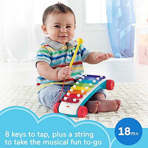 Fisher-Price Pull-Along Basics Gift Set 3 Infant Pull Toys