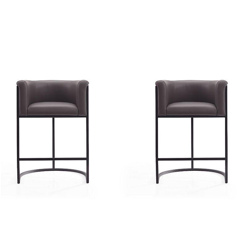 MANHATTAN COMFORT Cosmopolitan Counter Stool 2-piece Set