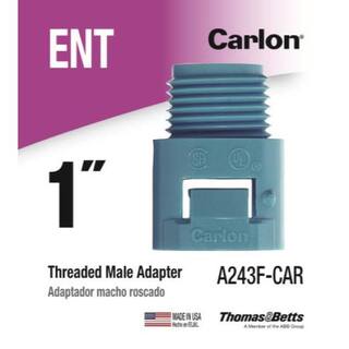 Carlon 1 in. ENT Threaded Male Adapter A243F-CAR