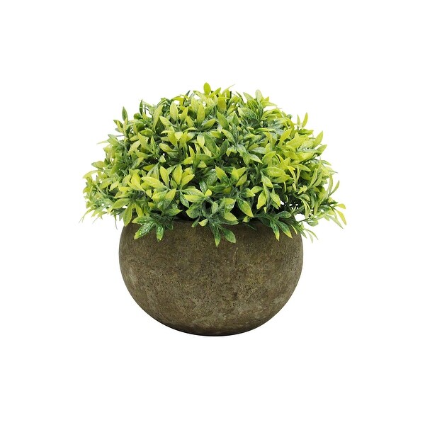 Set of 3 Frosted Green Artificial Boxwood Grass Leaf Succulent Mix Small Plant in Pot 4.5in