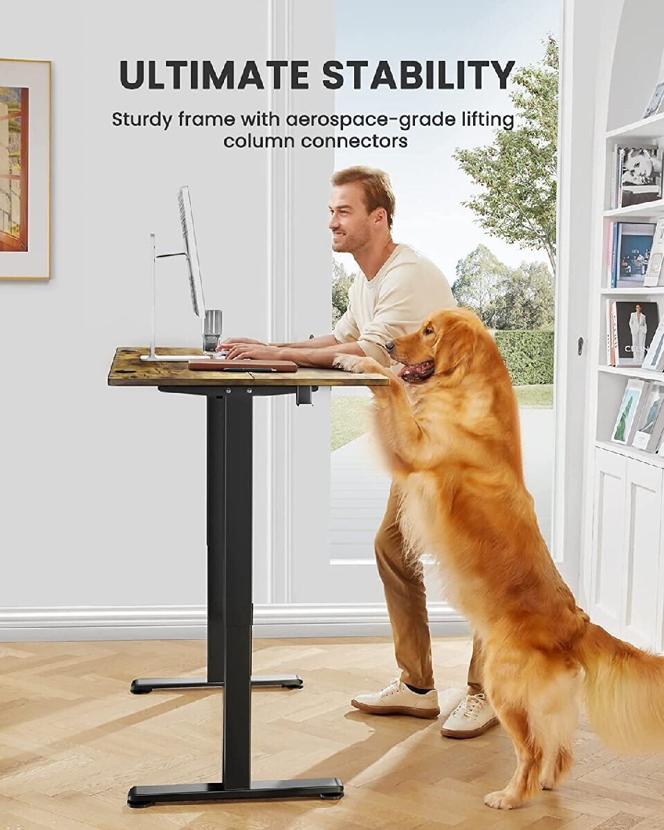 Clearance Sale-Height Adjustable Electric Standing Desk,Memory Computer Home Office Desk