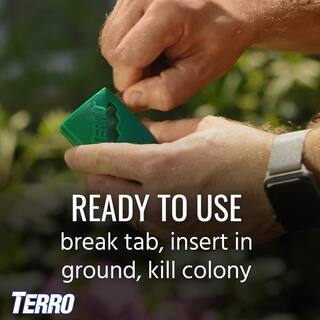 TERRO Outdoor Liquid Ant Killer Bait Stakes (8-Count) T1812