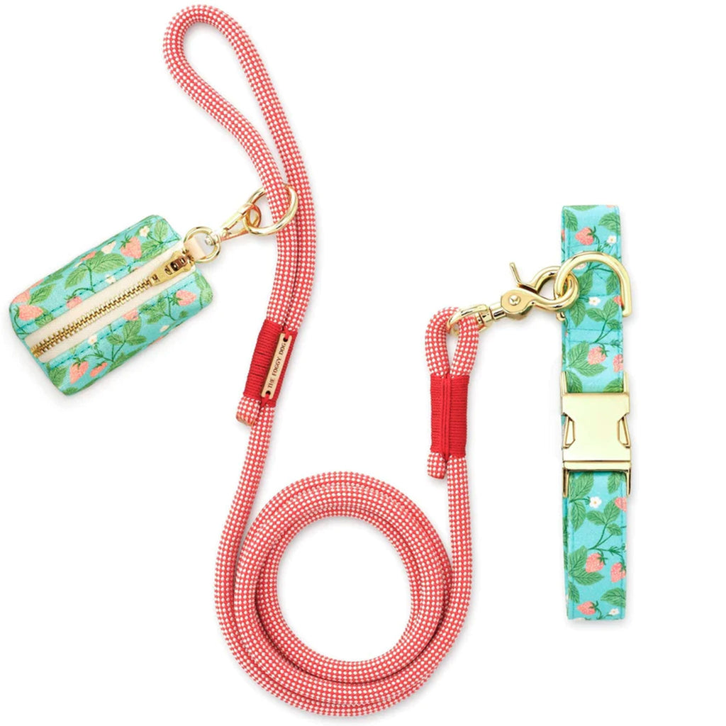 The Foggy Dog Collar， Leash and Waste Bag Set - Berry Patch