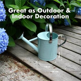 Dyiom 0.5 Gal. Teal Metal Watering Can with Removable Spout Rainwater Harvesting System B0B2WYDWXT