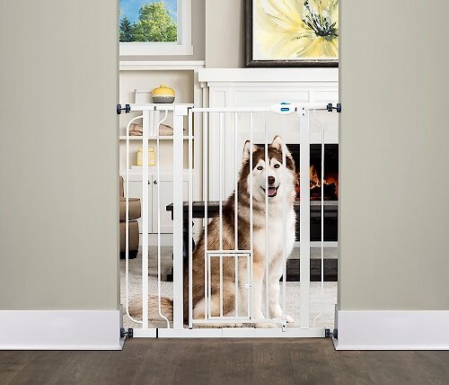 Carlson Pet Products Extra Tall Walk-Thru Gate with Pet Door