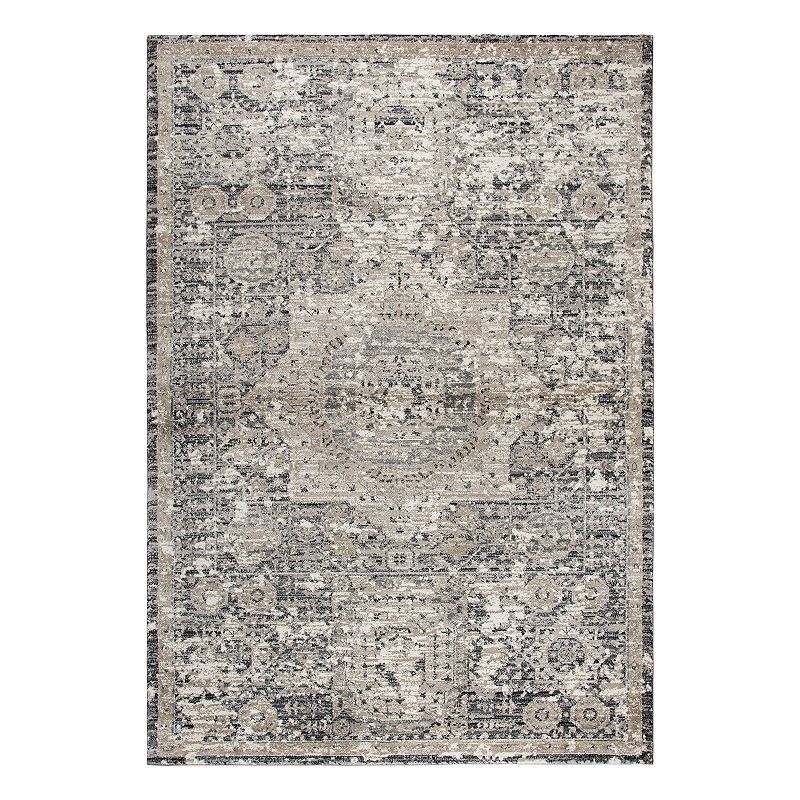 Rizzy Home Panache Traditional Central Medallion Distressed Geometric Rug