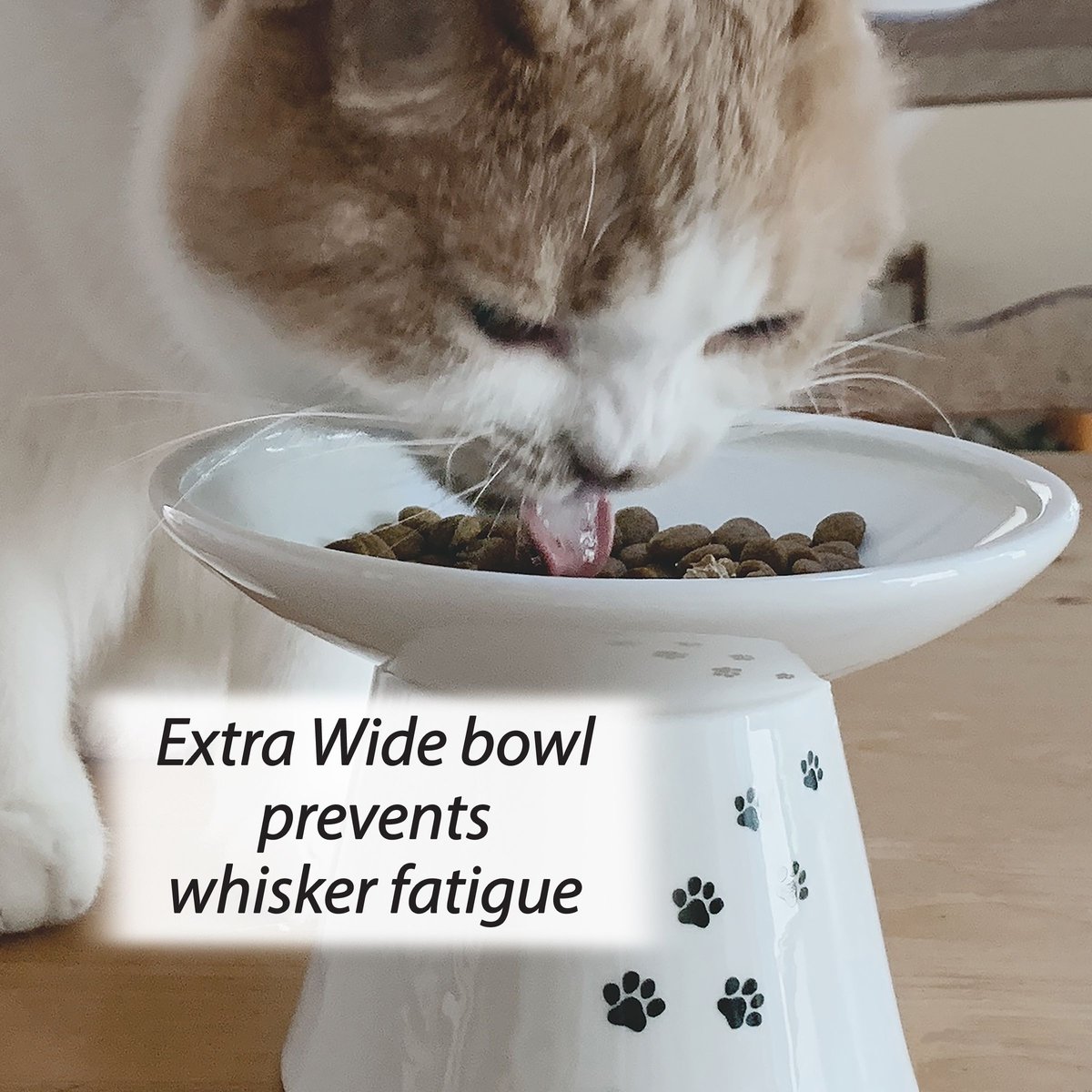 Necoichi Extra Wide Ceramic Elevated Cat Food Bowl， 2-cup