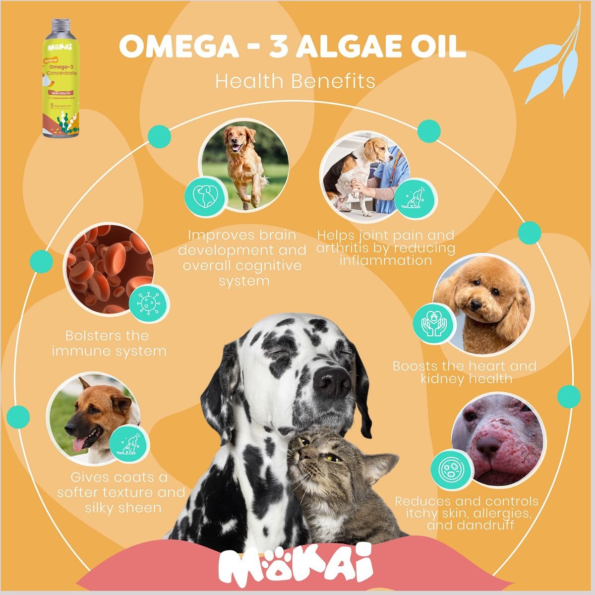 Mokai Algae Oil Omega-3 Concentrate Dog Supplement， 8-oz bottle