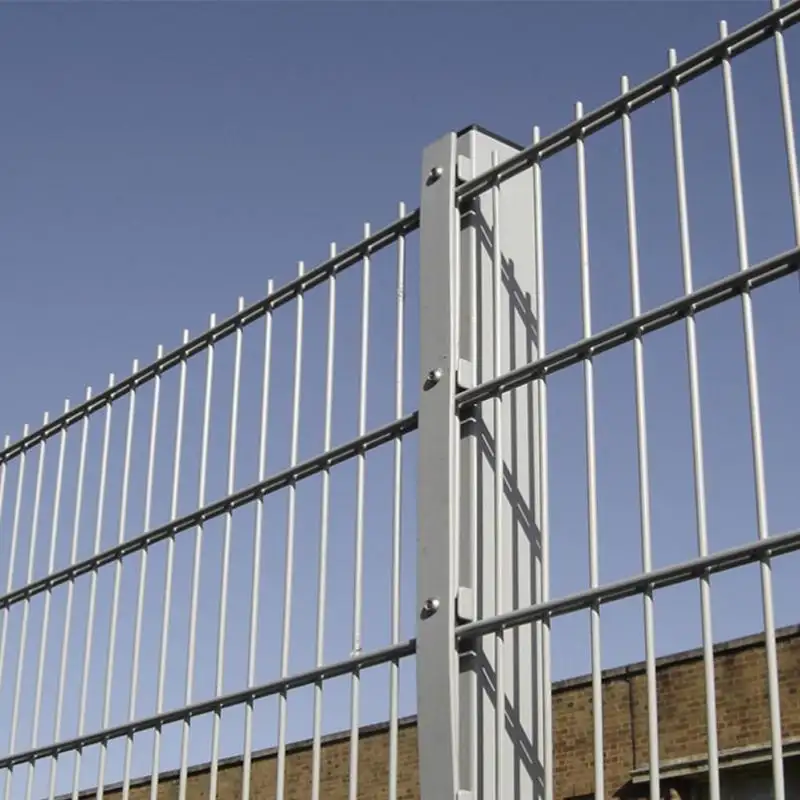 6/5/6mm Galvanized and Powder coated Double wire panels