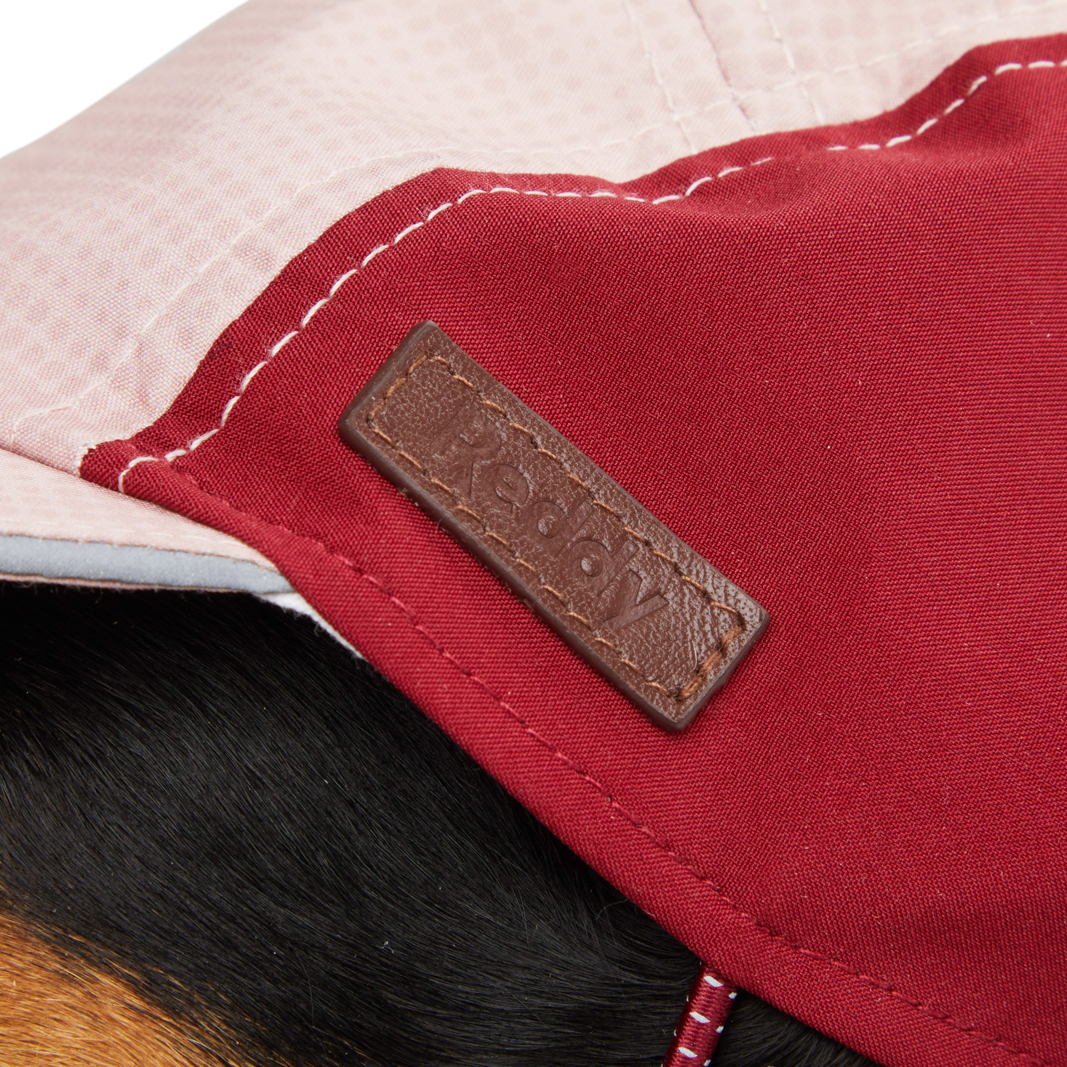 Reddy Red Hat for Dogs， X-Small/Small