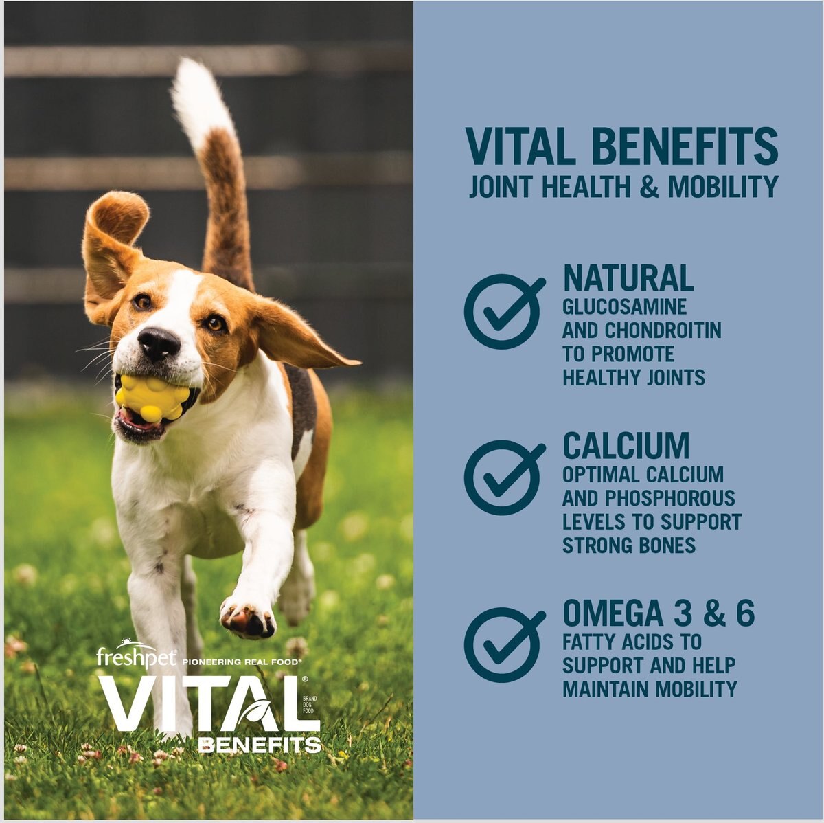 Freshpet Vital Benefits Joint Health and Mobility Fresh Dog Food