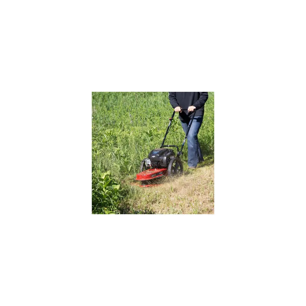 Toro String Mower Briggs and Stratton 163cc 4 Cycle 22