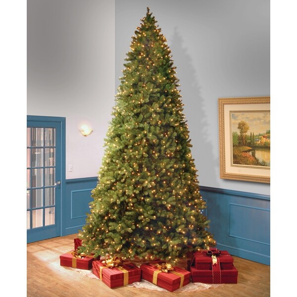 National Tree Company 12 ft. Downswept Douglas Fir Tree with Clear Lights