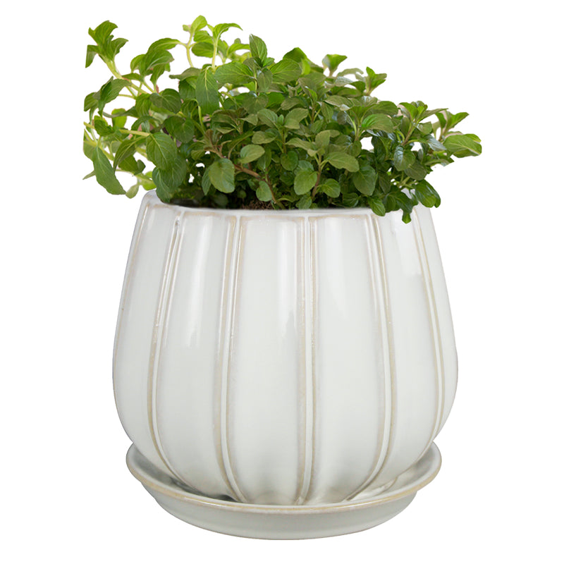 PLANTER CONTOUR WHITE 6