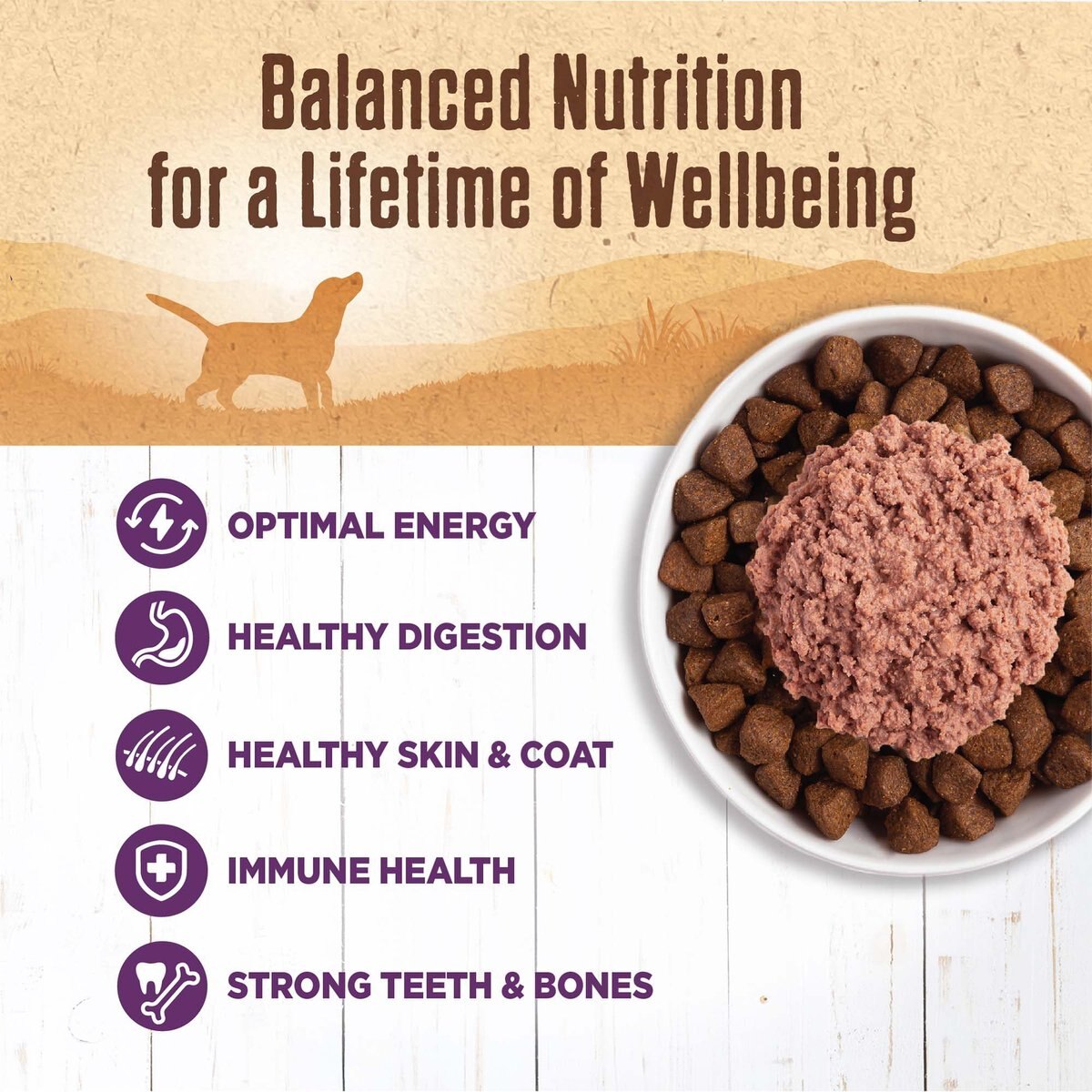 Wellness Ninety-Five Percent Chicken Grain-Free Canned Dog Food