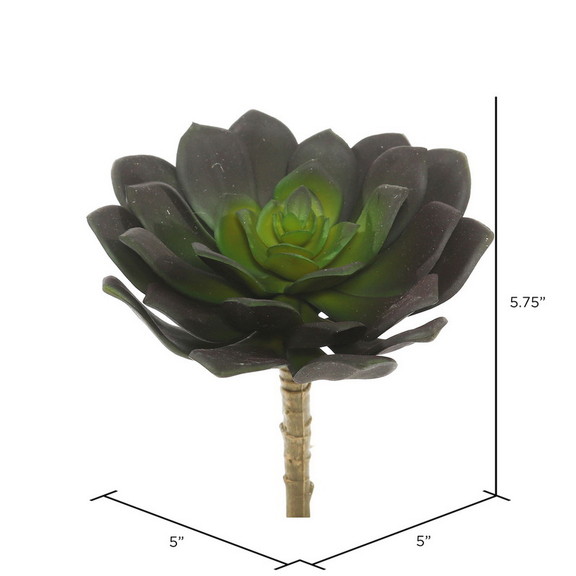 Vickerman Echeveria PK/3