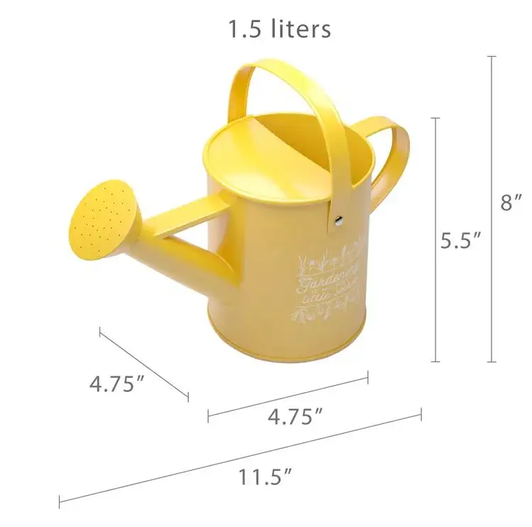 Galvanized Metal Small Watering Can Indoor Plants Pot Planter for outdoor and indoor plants flowers watering can Home Garden