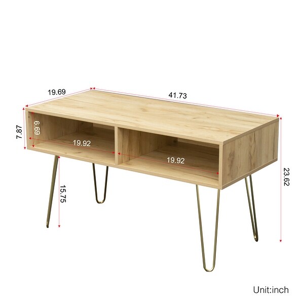 42 inch Modern Simple Small TV Stand with 2 CabinetandGolden Metal Legs