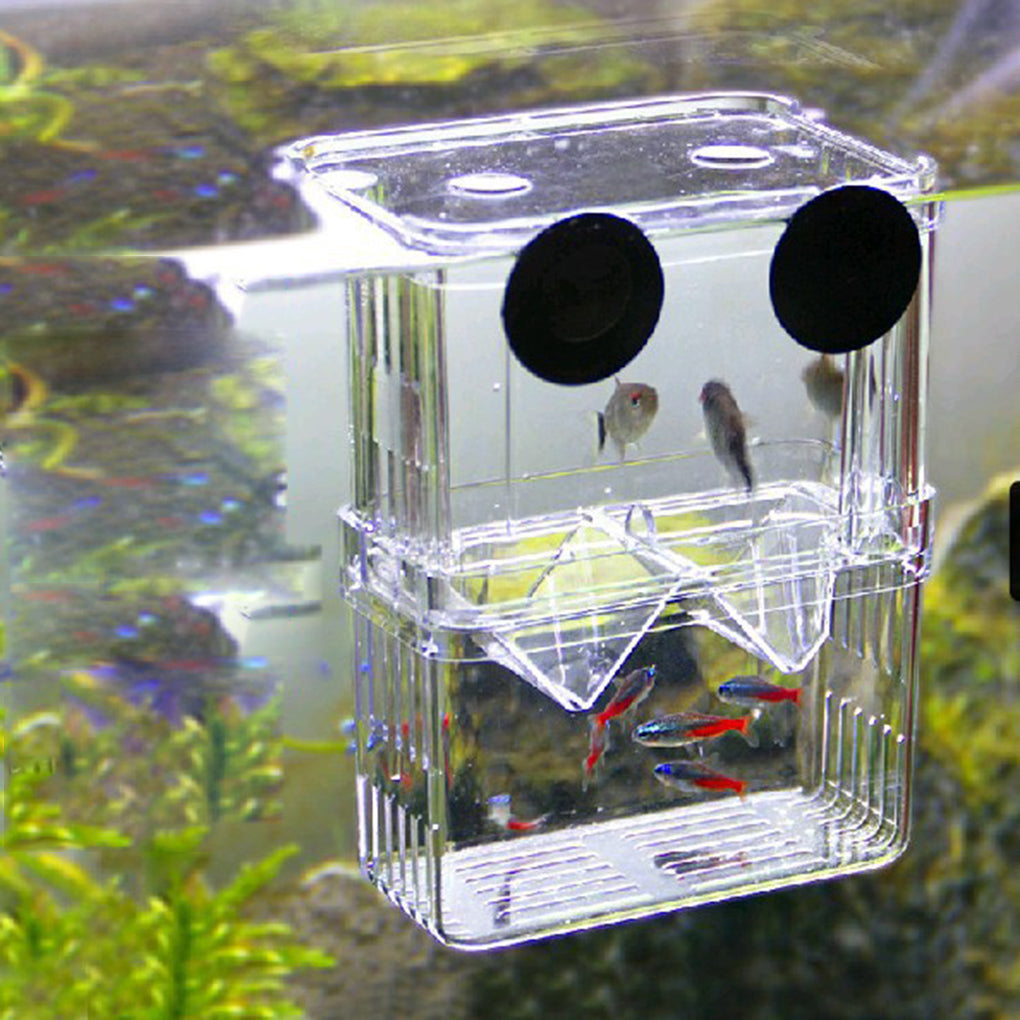 Clear Aquarium Hatchery Fishtank Breeding Box Breeder Rearing Trap Isolation Case L Vertical